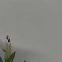 Gibelle Eucalyptus Leaves Bath Mat Rug Super Absorbent Quick Dry Thin Bathroom Rugs Fit Under Door Non Slip Rubber Backed Bathroom Floor Mat for in Front of Bathtub Sink Shower (17"x24", Sage Green) (A001)