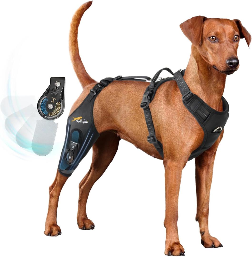 Dog Knee Brace for torn acl hind leg with Adjustable Hinge Stabilizer, Dog back brace for Osteoarthritis, Dog leg brace Support for Cruciate Ligament Injury, Recovery After, Patent Pending (Right Leg, XL)