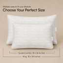 Calvin Klein Luxury Hotel Pillow Queen Size Set of 2 Down Alternative