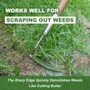Haliaeetus Sickle Hoe, 58'' Long Handle Japanese Hand Hoe for Standing to Remove Weed, Stainless Steel Scraper Hoe, Bent Angle Weeding Sickle for Fastly Scraping Out Weed on Flower Bed, Between Plants