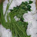 Ouddy Decor 20 Pcs Fake White Roses Artificial Silk Flowers with Long Stems for Valentines Decor Wedding Home Party Table Centerpieces Bridal Bouquet DIY Floral Arrangment