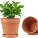 Riseuvo 8 Inch Large Terracotta Pots with Saucers 2 Pack Big Clay Flower Pots with Drainage Hole, Clay Pot for Succulents, Cactus, Indoor, Outdoor Patio and Garden Plants