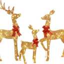 3-Piece 2D Lighted Christmas Deer Family Set - HOYECHI Large Outdoor Yard Reindeer Holiday Decoration with 145 LED Lights, Stakes, Zip Ties - Gold