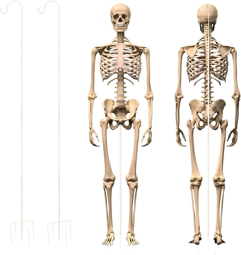 2 Sets Skeleton Stand Pose Stay Metal Stand for 6.56 ft Tall Skeletons Halloween Decor Accessories, Skeletons Not Included(White)