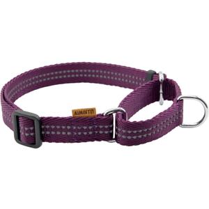 Adjustable Nylon Reflective Martingale Dog Collar for Training and Walking (Purple, XS (Neck: 10"-14", Width: 3/8"))
