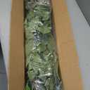 Artificial Ficus Tree 5FT Faux Silk Plants with Sturdy Plastic Nursery Pot,Fake Ficus Trees for Home Office Farmhouse Indoor Outdoor Decor Perfect Housewarming Gift (5FT-1Pack)