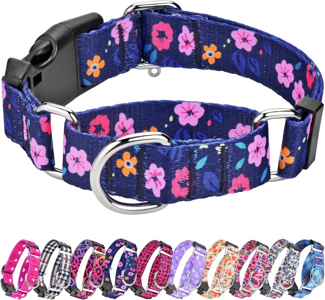 Martingale Collar for Dogs, Adjustable Soft Nylon Dog Collars with Special Design Cute Patterns for Small Medium Large Dog (Blue Flower)