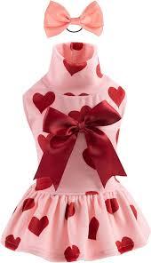 Dog Velvet Dress Turtleneck Pink Puppy Skirt Costume Valentines Day Love Pet Out