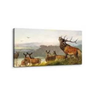 SERIMINO Animal Deer Vintage Wall Art for Living Room, Meadow Landscape Canvas Prints, Retro Large Wall Decor, Nature Scenery Canvas Prints, Farmhouse Home Decor for Bedroom, 20x40 Inch