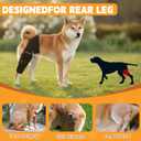 Dog Knee Brace for Hind Leg Adjustable Rear Leg Support with 2 PP Resin Bars, Helps Torn ACL, Ligament Injuries, Luxating Patella & Hip Dysplasia Recovery for Left/Right Hind Leg (S)