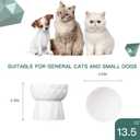 Frewinky Cat Bowls,Ceramic Cat Bowls Anti Vomiting,Raised Food and Water Bowl Set for Cats and Small Dogs, 13.5 Oz Pure White (Pack of 2)