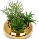 Hollyone Large Artificial Succulents Plants Faux Succulents with Gold Pots Fake Succulent Potted Plants in Ceramic Pot for Home Decor Office Desk Bathroom Living Room Indoor & Outdoor Decorations