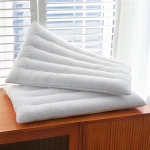 2 Pack Thin Pillow for Stomach and Back Sleeper Low Pillow Flat Bed Pillow Flat Design Pillows Ultra Slim 2.5 Inches Deeper Sleep (Pack of 2)