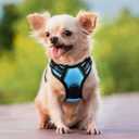 rabbitgoo Dog Harness No Pull with 2 Leash Clips, Adjustable Soft Padded, Reflective Oxford No Choke Pet Vest with Easy Control Handle for Puppy, Blue, XS