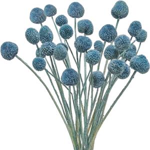 20Pcs Artificial Dried Flowers Blue Billy Balls Flowers Fake Craspedia Globosa Dried Billy Button Floral Boquet Arrangement for Boho Home Party Wedding Vase Decor