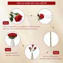Hotop 20 Pcs Artificial Rose Flowers with Long Stem, Real Lifelike Silk Realistic Plastic Bouquet Roses Bulk for Home Decor Bridal Wedding Party Table Center pieces Decorations (Red)