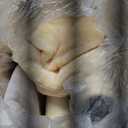 54" Modern Cat Tree for Large Cats, Wood Luxury Multi-Level Oak Solid Wood Cat Trees Cat Towers with 3 Rattan Weaving Cat Nests & Washable Cushions, Sisal Scratching Posts, for Indoor Cats-Lacquered