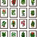 Aestalrcus 16 Pcs Small Diamond Art Kits, Plants Diamond Art Kits for Adults, DIY Square Diamond Painting 3-Hour Gem Painting for Gift Home Desktop Decor 6.7x8.3 Inch(Without Frame)