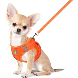 FEimaX Dog Harness and Leash Set, No Pull Breathable Soft Mesh Puppy Vest Harness Reflective Adjustable Pet Harnesses for Small Medium Dogs and Cats - Outdoor Easy Control for Walking, XS
