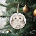 Wise Winter Owl Ornament, Owl Lover Gifts, Nature Lover Gift, Woodland Animals, Forestcore Ceramic Xmas Decoration (C19)