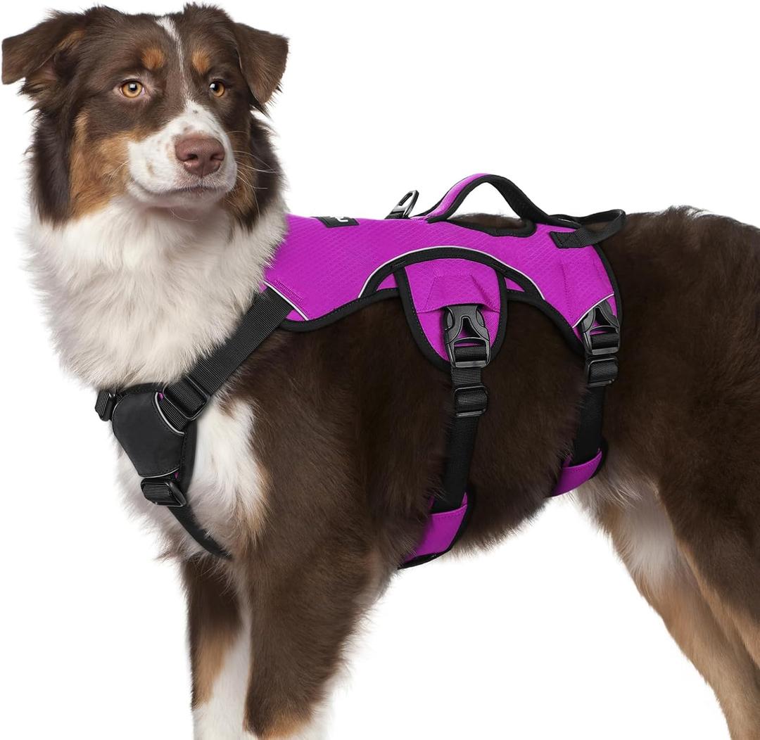 rabbitgoo Escape Proof Dog Harness, Soft Padded Full Body Pet Harness, Reflective Adjustable No Pull Vest with Lift Handle and Leash Clip for Dogs Walking Hiking Training, M, Purple