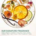 Biolage Color Last Shampoo - For Color-Treated Hair, Nourishes, Strengthens, Hydrates and Adds Shine, Soybean Oil & Stearic Acid, Paraben & Mineral Oil-Free, Vegan (13.5 Fl Oz (Pack of 1))