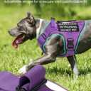 Service Dog in Training Vest Leash Set, Reflective Do Not Pet Dog Harness with Handle and 6 Patches, Full Metal Buckles, for Large Dogs Training Walking, X