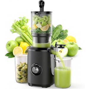 NEWBULIG Cold Press Juicer Machines, Masticating Juicer with High Juice Yield, Reverse Function, Stops Oxidation and Easy to Clean for Vegetables & Fruits, Black