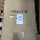 Leeyoung Folding Hand Truck and Dolly,309 lb Capacity Aluminum Portable Cart with Telescoping Handle and PP+EVA Wheels
