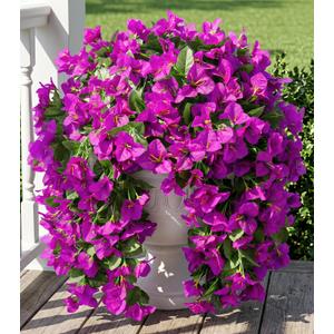 Faux Bougainvillea Artificial Flowers Plants for Outdoors Outside Decoration, 2 pcs Purple Fake Flowers UV Resistant Look Real Silk Long Trailing Vines for Front Door Porch Planter Urn Patio Garden