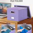 Oterri File Organizer, File Box, File Cabinet for Letter File Folder Storage, Hanging File Organizer for Office/Decor/Home,Document Organizer, 1 Pack, Lavender-Box Only