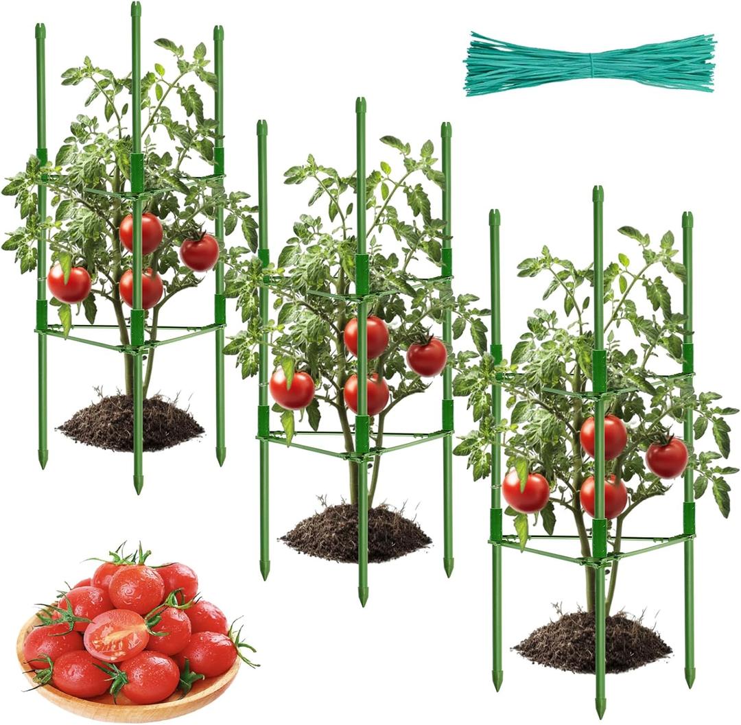 ZeeDix Tomato Cages for Garden 38 inches, Tomatoes Plant Stakes & Plant Support, Tomato Trellis for Pots Climbing Vegetables Flowers Plants (3 Pack - Tall Upto 38 inches) ZeeDix Tomato Cages for Garden 38 inches, Tomatoes Plant Stakes & Plant Support, Tomato Trellis for Pots Climbing Vegetables Flowers Plants (3 Pack - Tall Upto 38 inches)