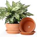 INGOFIN 8 Inch Terracotta Shallow Pots Set with Saucer - Ceramic Clay Pots with Drainage Hole, Terra Cotta Pot for Plants for Indoor Outdoor Plants, Set of 2