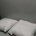 Amazon Basics Square Hypoallergenic Pillow Insert, Sofa Bed Couch Decorative Stuffer, 18", 2 Pack (18 x 18 inches)