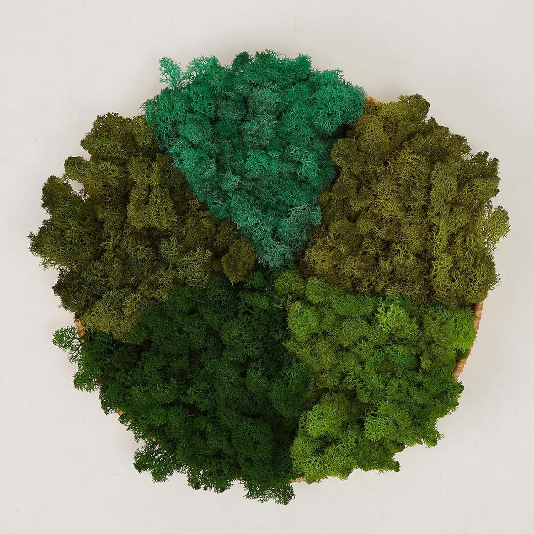 Preserved Reindeer Moss Natural Green DIY Kit Gardenning Art Wall Decor Florist Decor Easter Table Decor Wedding (1 lb, Color Mix-Green-(03+04+06+10+11))