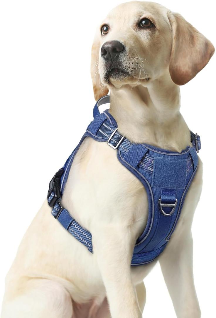 rabbitgoo Dog Harness Medium Sized No Pull, Tactical Service Pet Vest with Molle and Control Handle, Adjustable and Reflective Military Harness for Easy Walking and Training, Blue, Medium