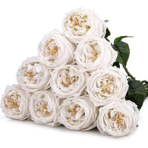 Daifunli 10pcs Real Lifelike Peonies Artificial Flowers, Faux Austin Rose with Long Stem Look Real Fake Flower for Christmas Valentines Arrangement Wedding Party Home Kitchen Decor(White)