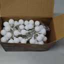 JMEXSUSS Globe String Lights Indoor, Color Changing Christmas Lights Plug in, Warm White & Multicolor String Light with Remote for Bedroom Room Tree Party Christmas Decor (100 LED Plug)