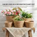 8pc Round Storage Baskets, Handwoven Natural Reed Grass, Structured