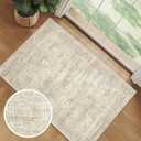 Soalmost 2x3 Washable Rugs for Kitchen, Floor, Entryway, Powder Room Small Area Rug Non-Slip Vintage Low Pile Throw Door Mat Beige