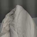 Bedsure Oversized Queen Comforter Set, Beige Soft Prewashed Bedding for All Seasons, 3 Pieces GentleSoft Bed Set, 1 Lightweight Comforter (98"x98") and 2 Pillowcases (20"x26")