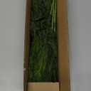 20 Pcs Real Touch Norfolk Pine Branches, Artificial Christmas Green Plants Branch Faux Greenery Stem Fake Pine Picks for Vase DIY Crafts Garland Wreath Xmas Indoor Outdoor Decor(18 Inches)