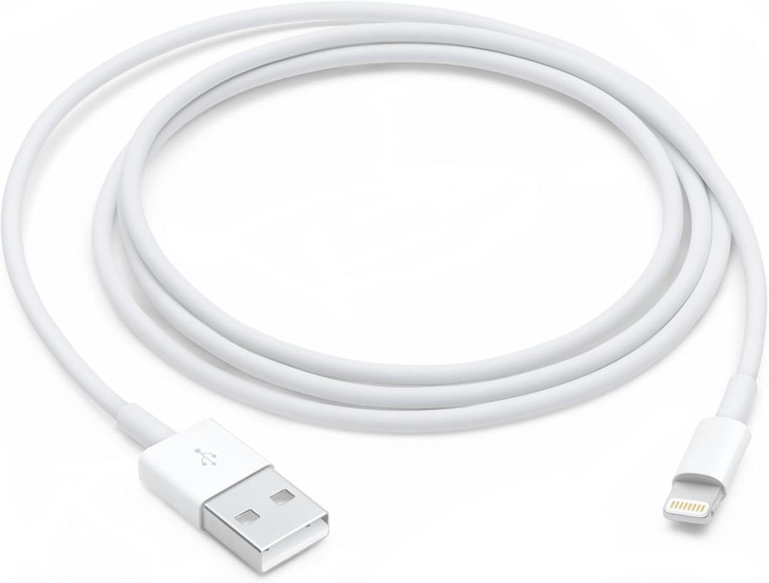 Apple Lightning to USB Cable (1 m)