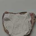Fruit of the Loom Women's Eversoft Cotton Underwear Multipacks, Tag Free & Breathable, Size 6