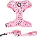 Dog Harness and Leash Set, Adjustable Dog Harness, Dog Leash, No Pull No Choke Puppy Harnesses for Walking Training , XS(Chest 11-13", Neck 9-11"))