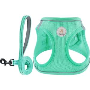 Hipubby Dog Harness and Leash Set, No Pull Soft Mesh Puppy Harness for Small Medium Dogs, Cats - Step in Reflective Breathable Lightweight Vest Harness for Walking, Training - Green, L