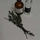 WEALD TRIBE Flower Reed Diffuser Set Eucalyptus & Lavender Scent For Bathroom Accessories Shelf Decor & Air Fresheners, Sticks Defusers With 4.0 fl oz Essential Oils, House Bedroom Office Decor & Gift