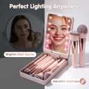 BS-MALL Makeup Brushes Foundation Powder Concealers Eye Shadows Makeup Set with LED light Mirror 14 Pcs Mini Makeup Brushes (APINK)