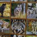 2026 Wolves Wall Calendar