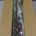Artificial Christmas Norfolk Pine Stems Branches for Vases,12 Bundles Fake Pine Stems with 2 PCS Small Pinecones Branches Faux Evergreen Real Touch Greenery for Xmas Holiday Winter Table Indoor Decor